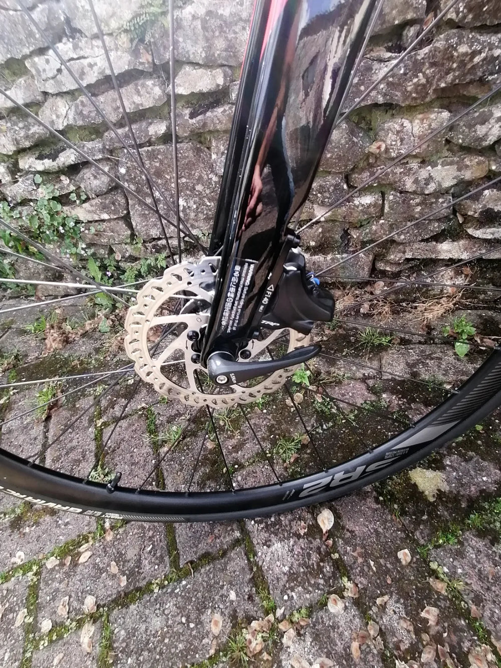Giant Fastroad 2 2019