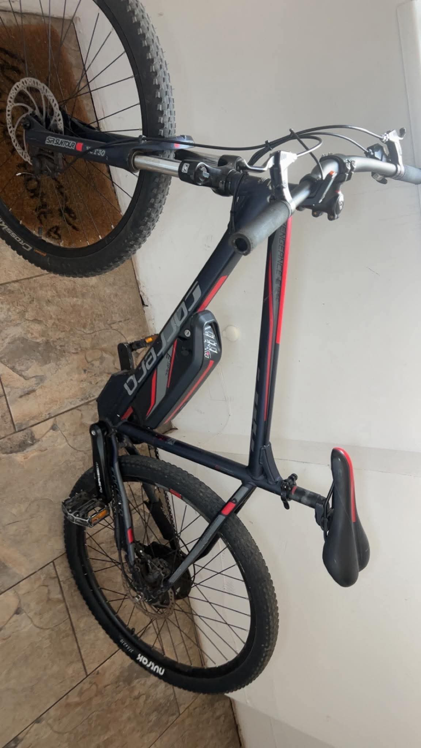 Carrera E spec 2019