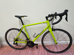 Pinnacle Dolomite
