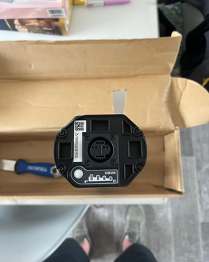 Raymon R HardRay E 4.0 Electric 2025