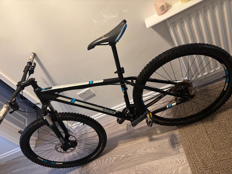 Marin Bobcat Trail 9 4 29 2015