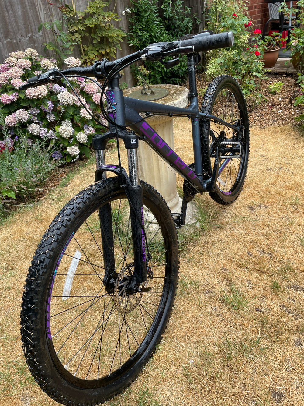Carrera Vengeance , 2024