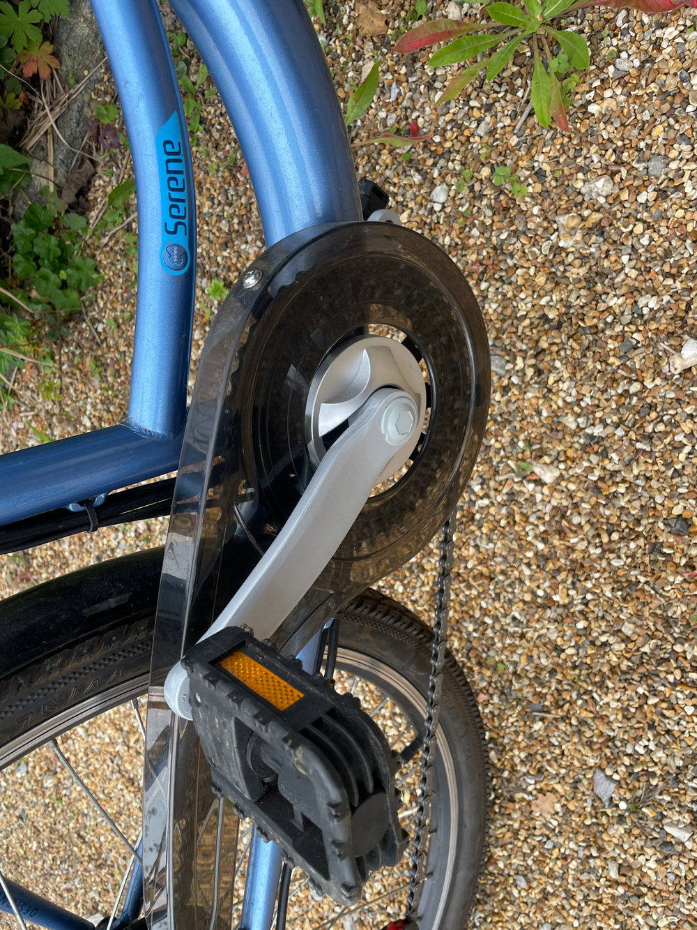 FALCON Serene 2020