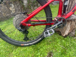 Vitus Mythique 29 VRS 2019