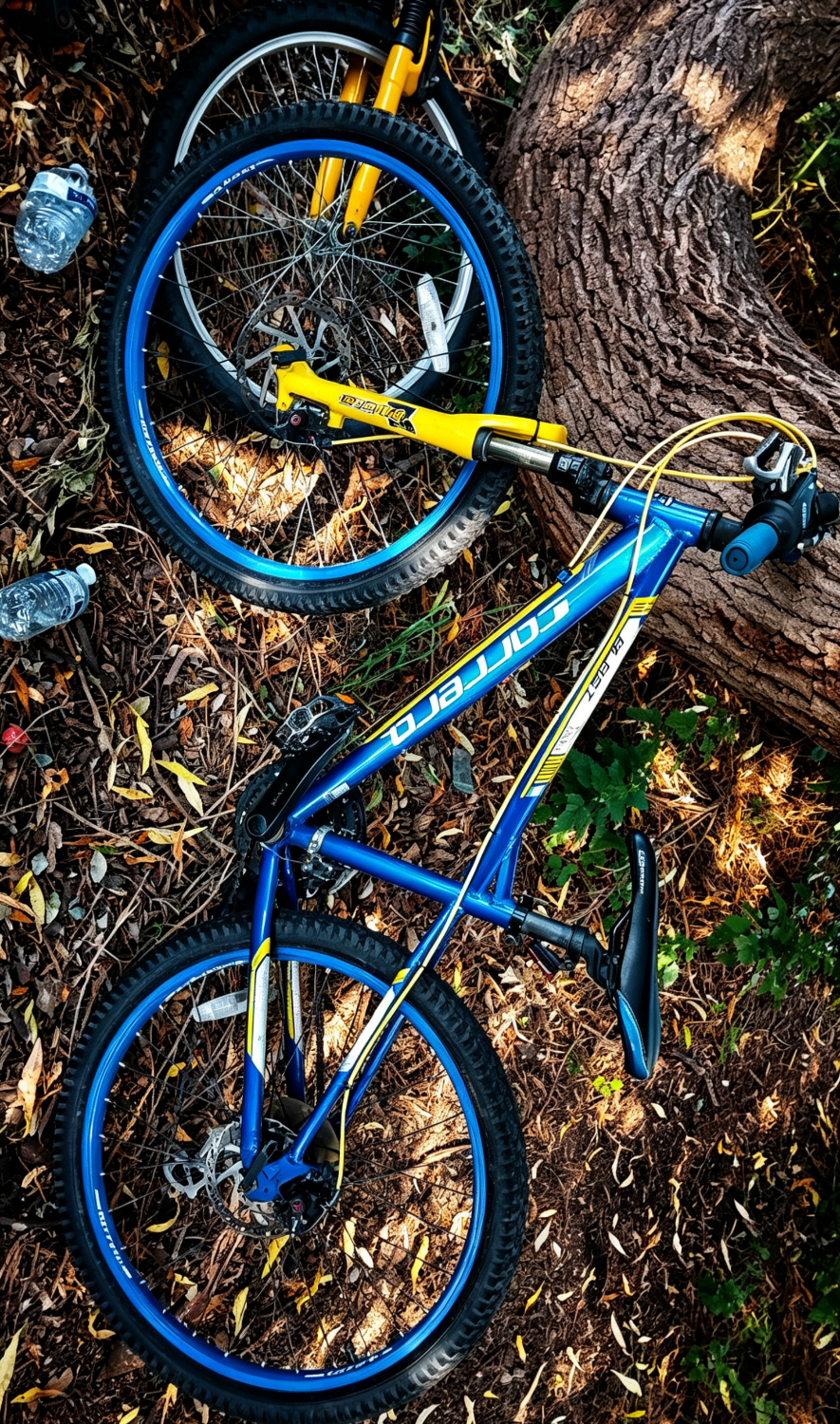 Carrera Blast Junior 2021