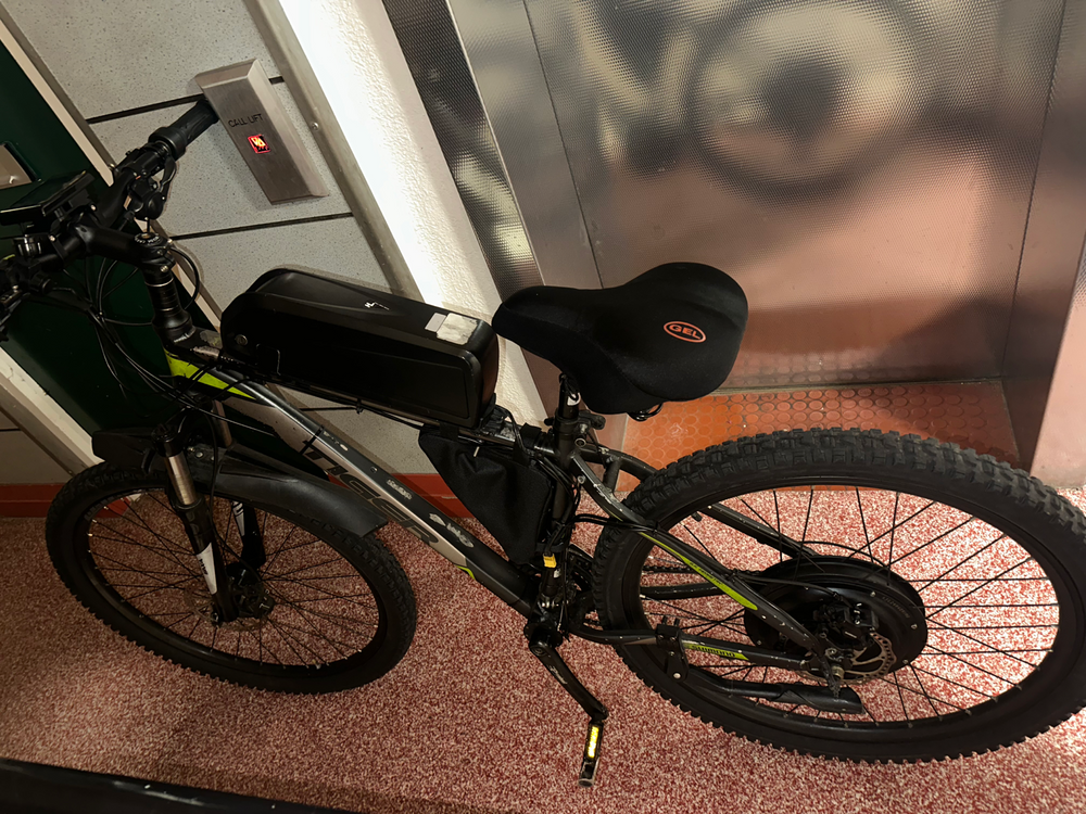 Tiger Electric bike 2018