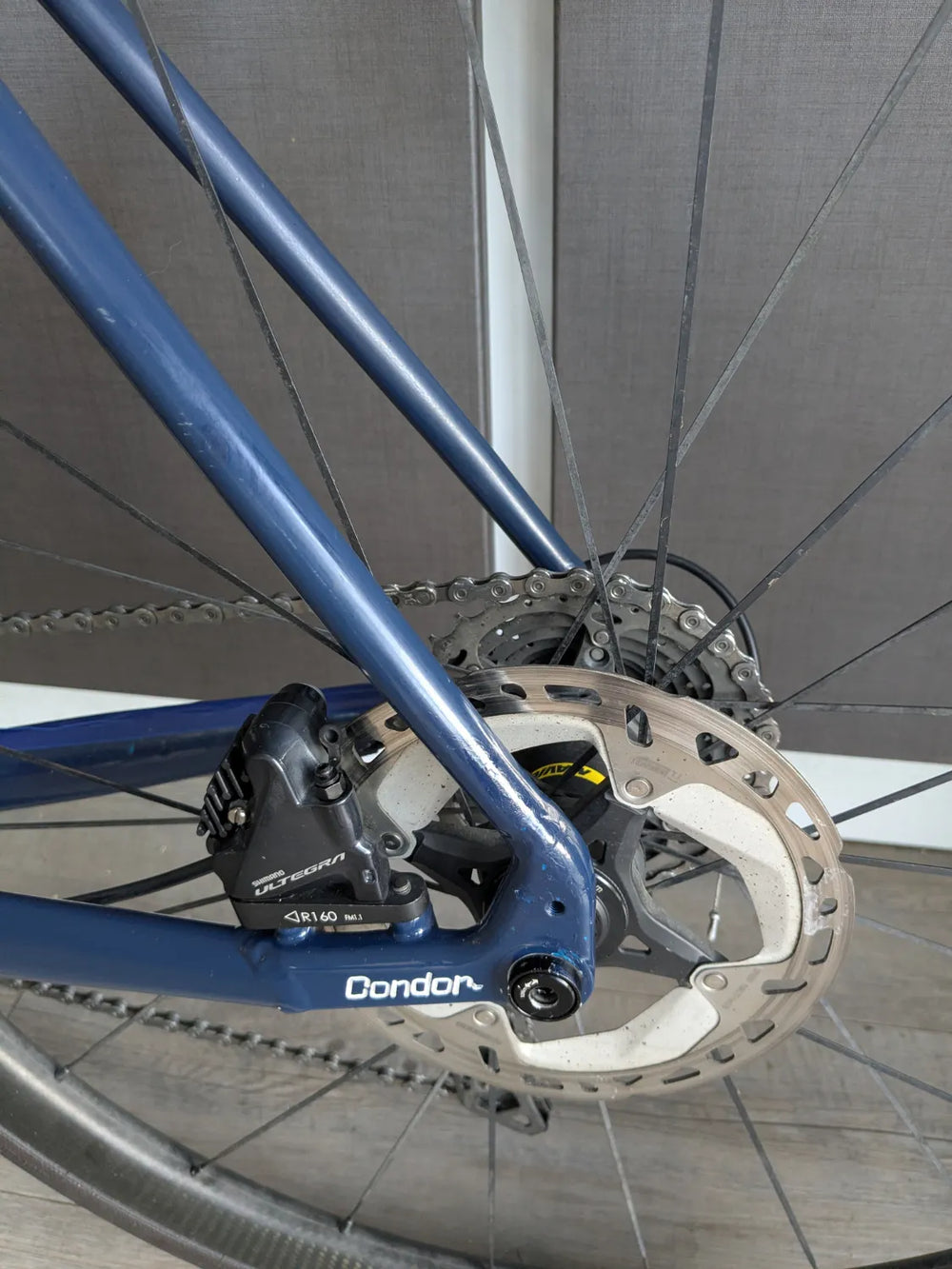 Condor Italia RC Disc Frameset 2023