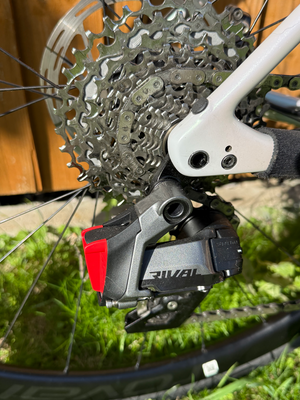 Specialized Roubaix SL8 Expert Disc 2024