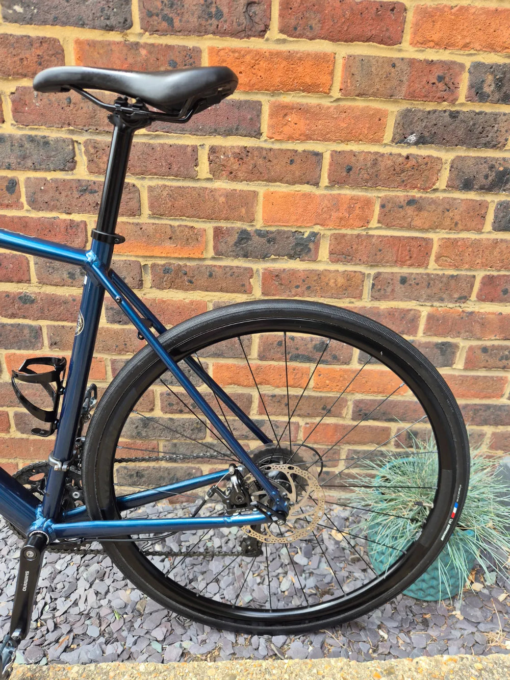 Trek Domane AL 2 Disc 2022