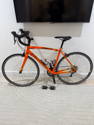 Specialized Allez Comp Road 2023