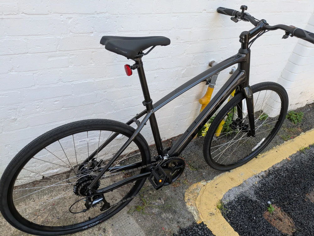 Trek FX 1 2024