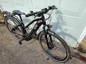 Liv Amiti-E+ 1 625 25km H 2022