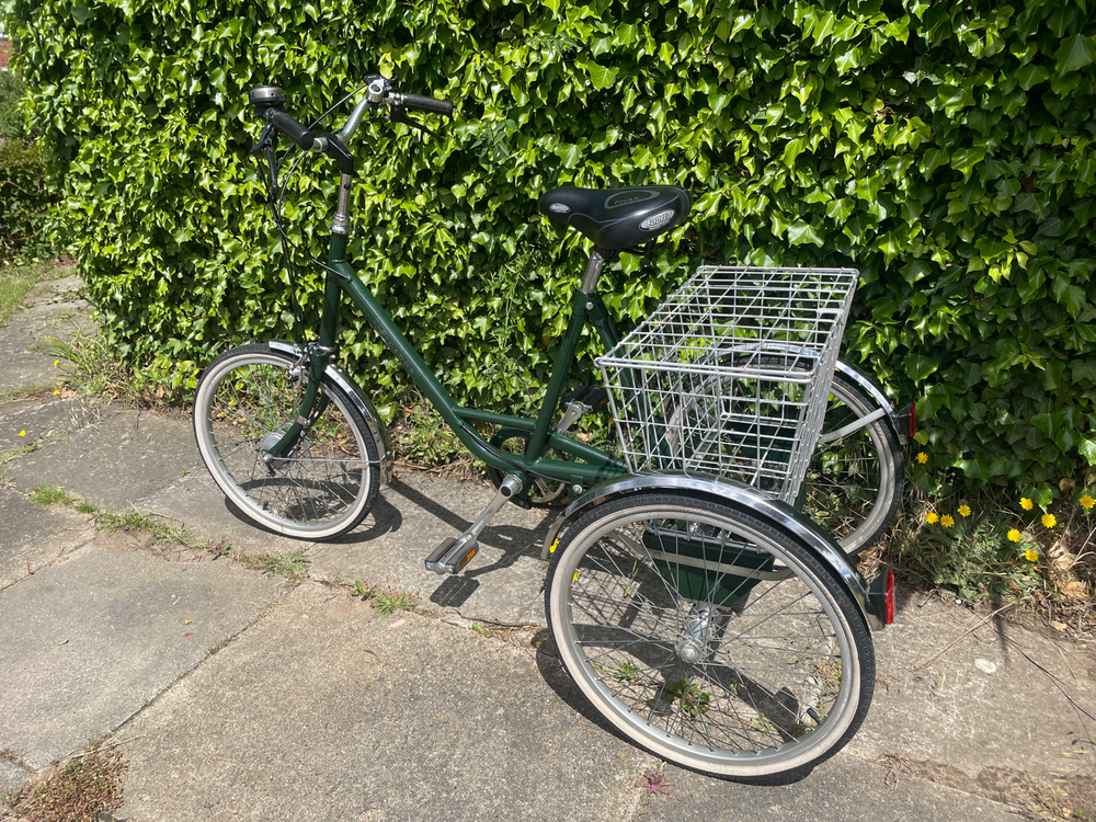 Pashley Picador 1975