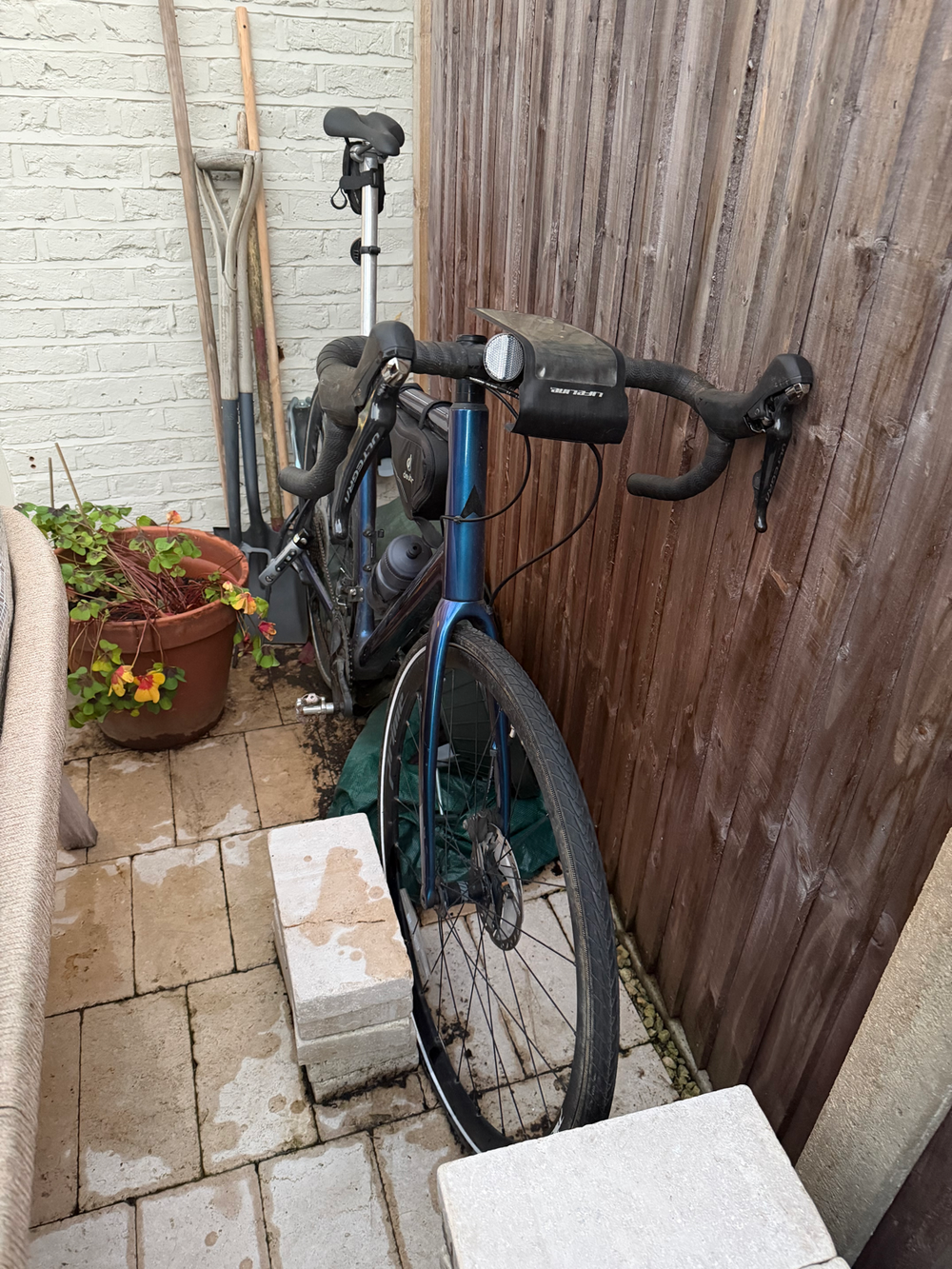 Vitus Zenium CRS Ultegra 2021 2020