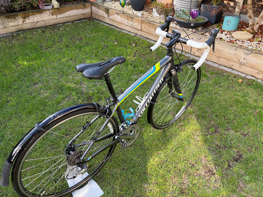 Specialized Dolce Elite 2015