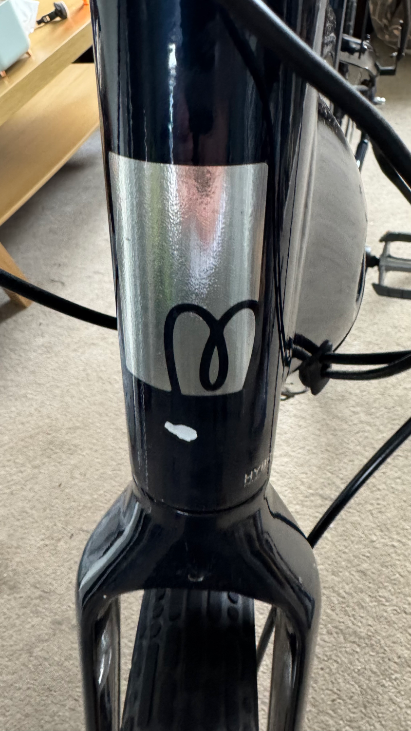 Momentum Transend E+ Mid-Step 2022