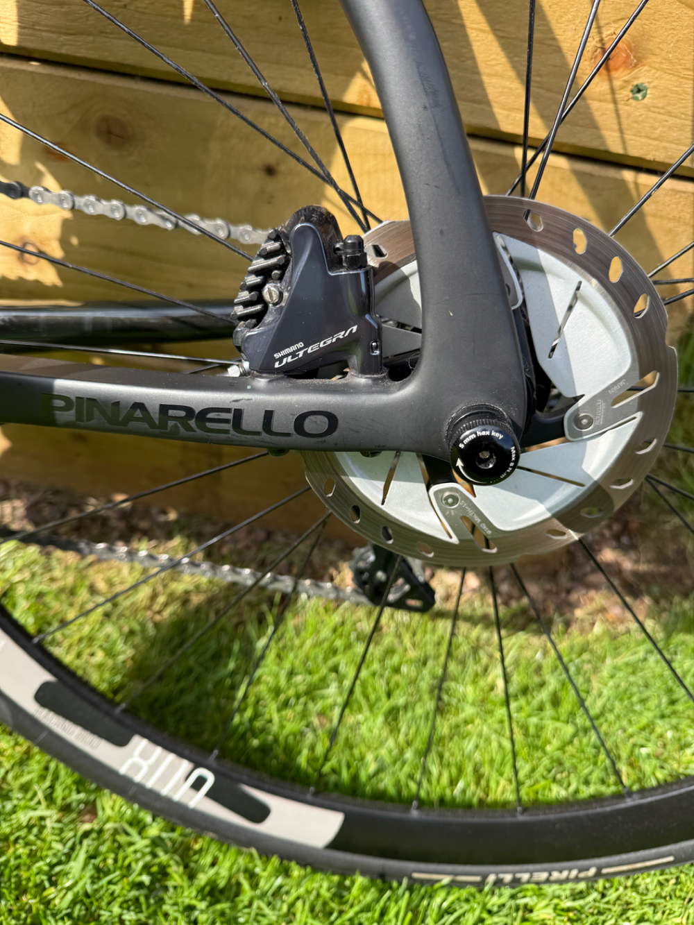 Pinarello Ultegra disc 2023