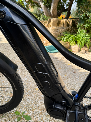 Liv Tempt E+ Sport 2024