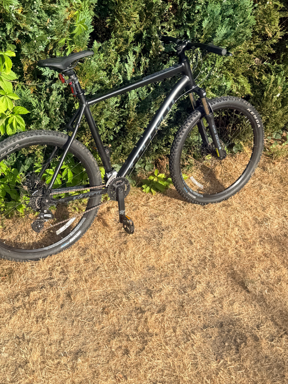 Carrera Vengeance , 2024