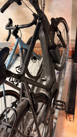 Raleigh Motus Tour 2024