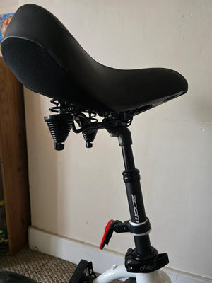 Fiido D3 Pro Mini 2025