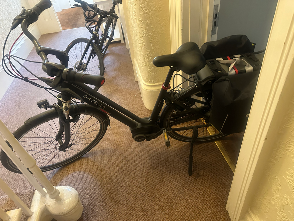 Gazelle Vento C7 High-Step 2019