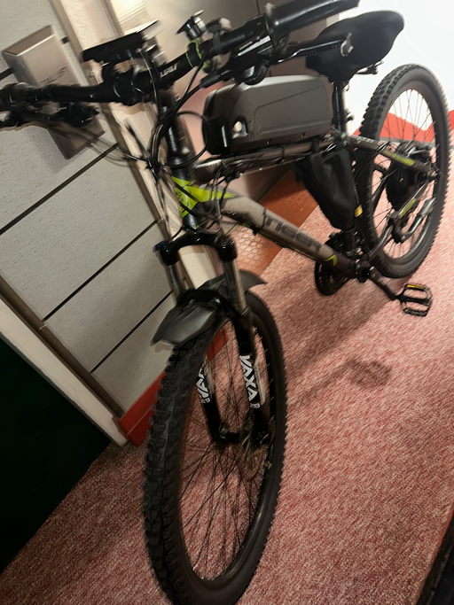 Tiger Electric bike 2018