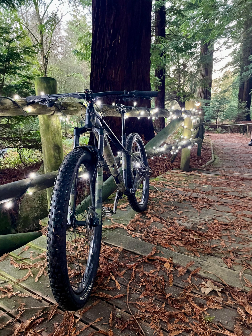 Trek Roscoe 7 2023