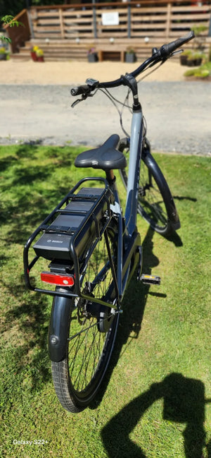 Trek Verve+ 2 400wh Lowstep 2022