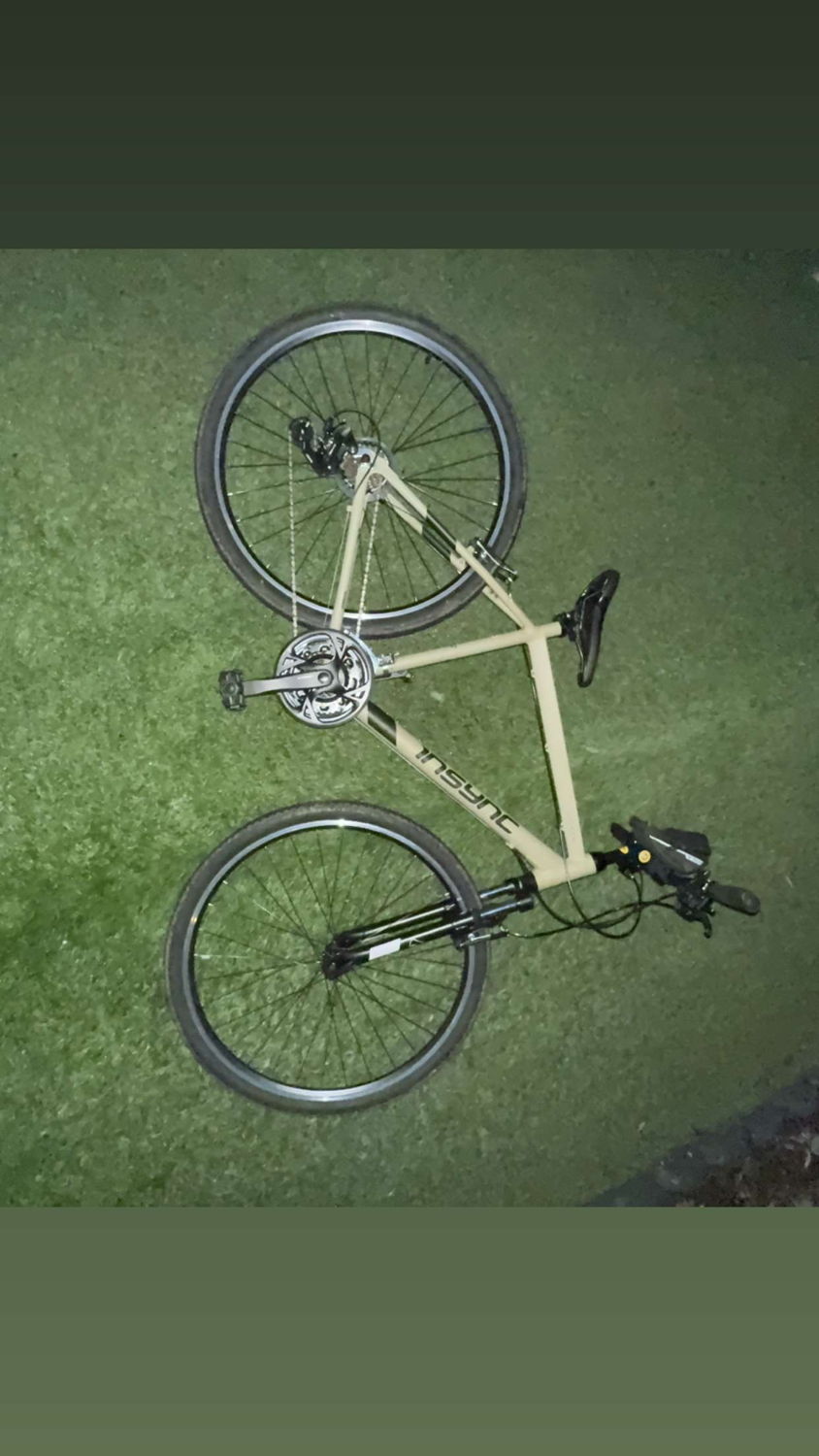 Insync Not sure 2024