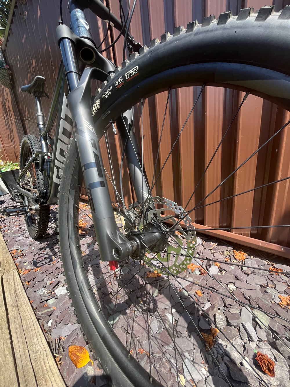 Giant Stance 29 2 2024