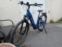 Raleigh Detour 1 Step Thru 2019