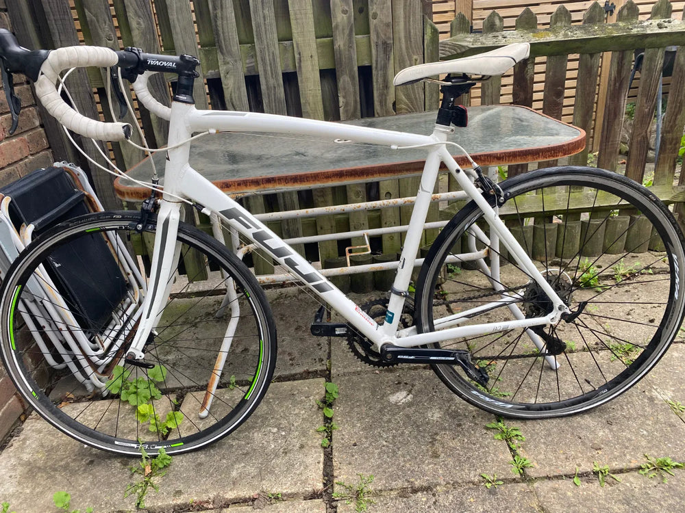 Fuji Sportif 2.3 2022