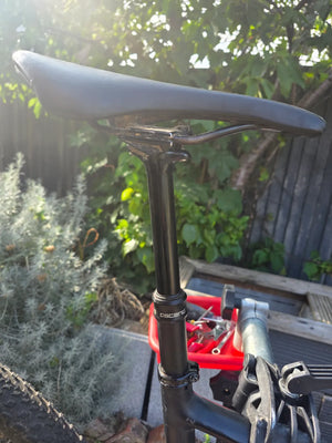 Specialized Epic comp