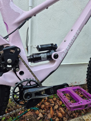 Forbidden Druid 2 29er 2025
