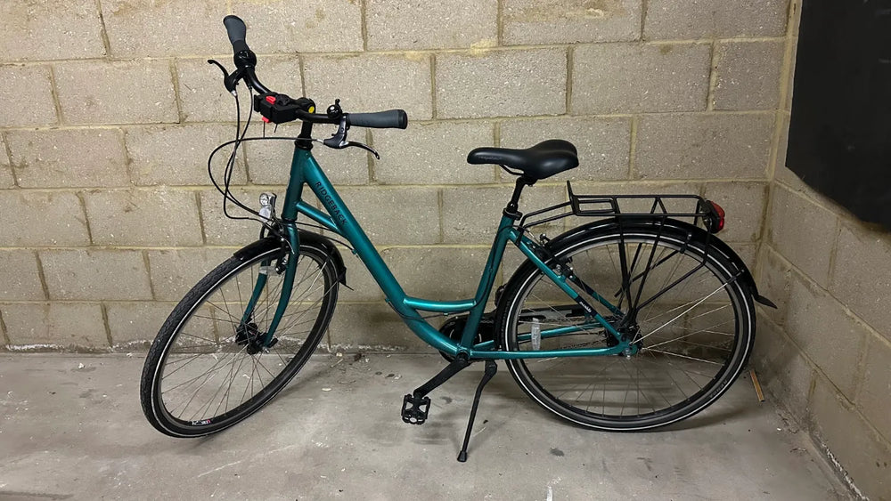 Ridgeback Avenida 7 2024