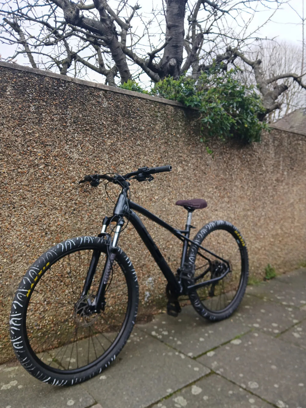 GT Avalanche Elite 2022