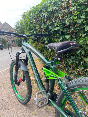 Trek Remedy 9 2013