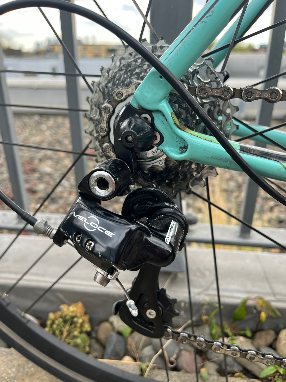 Bianchi Intenso Veloce Compact 2014