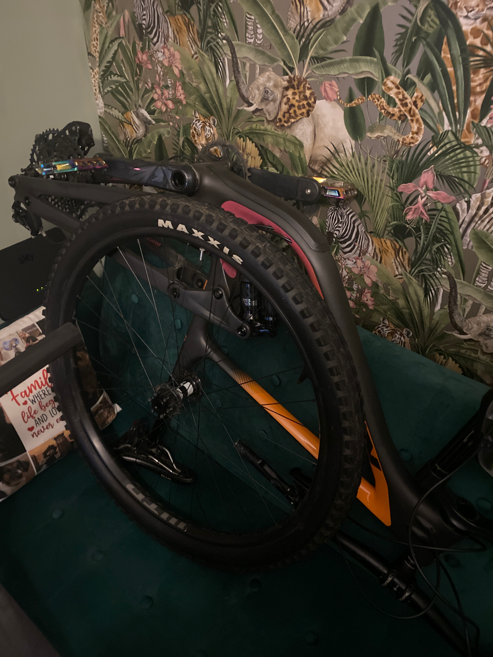 Kona Process 134 CR/DL 29 2021