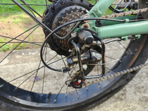 Joobike Joo1