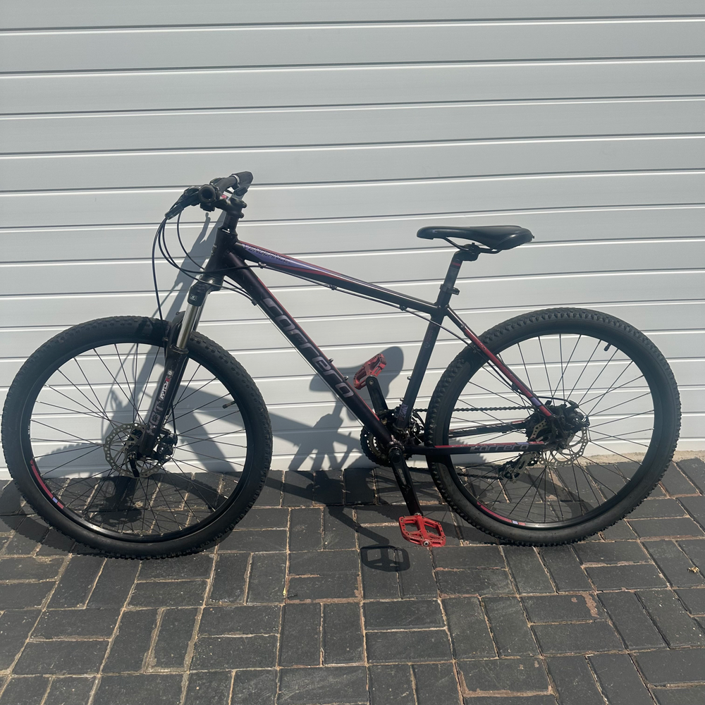Carrera Vengeance , 2024