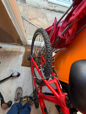 Apollo Phaze E 2019