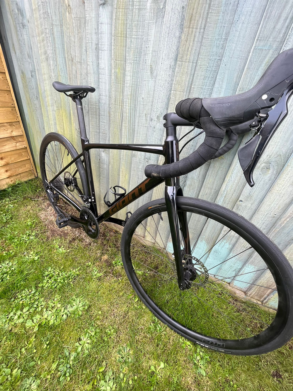 Giant Contend AR 1 2022