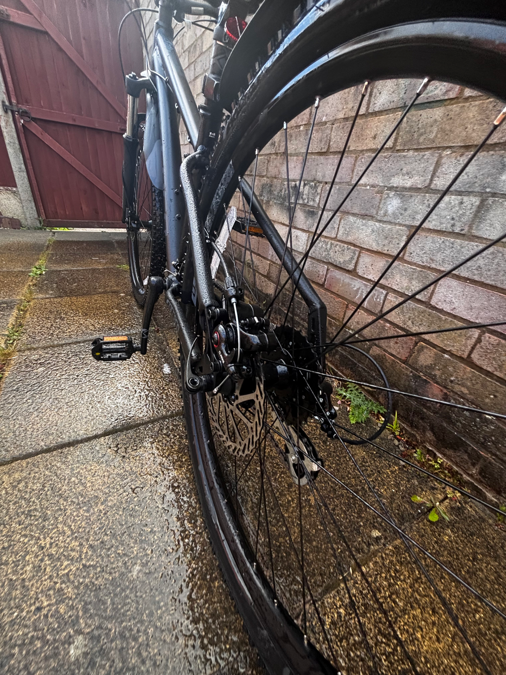 Carrera Vengeance , 2024
