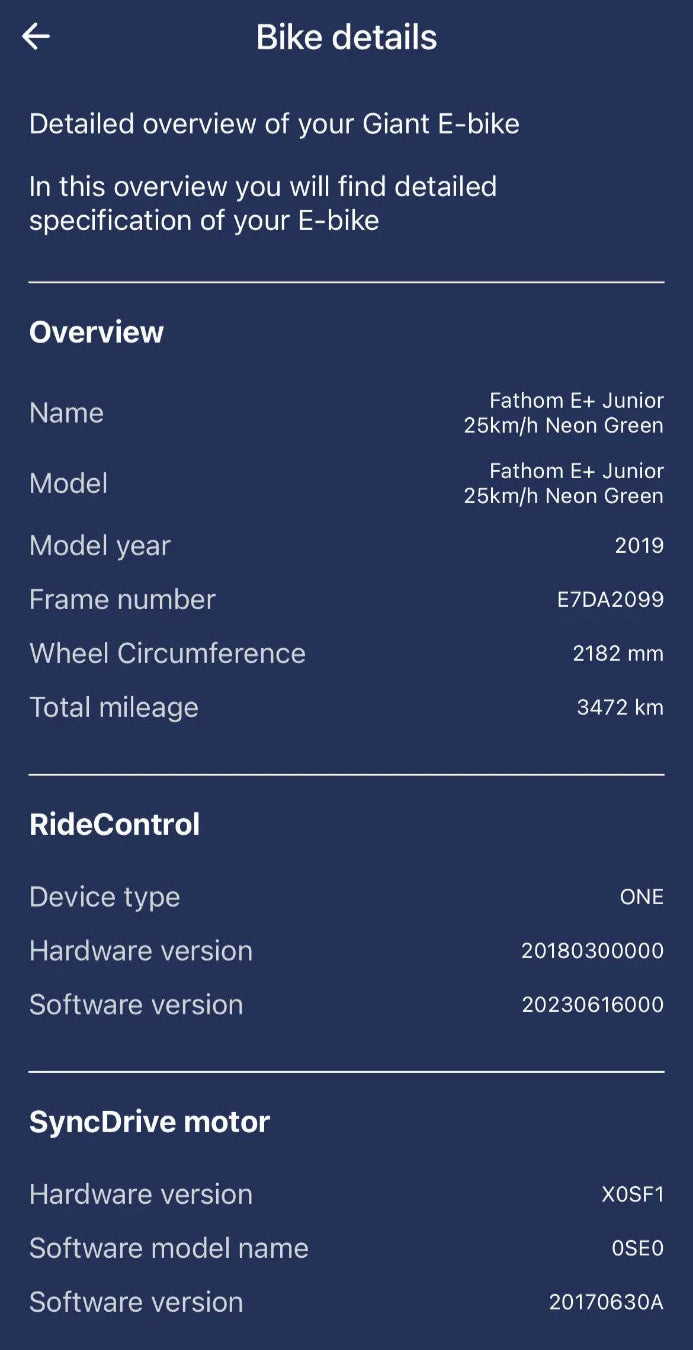 Giant Giant Fathom E + Junior  2019