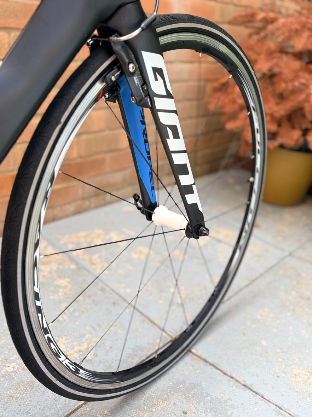 Giant Propel Advanced 2 Carbon Road 2016