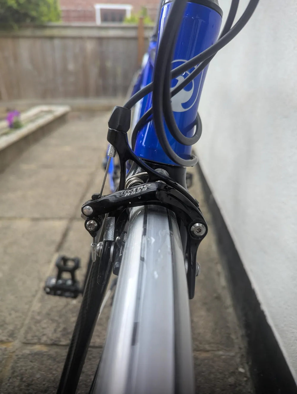 Ribble 7005 Audax 2019