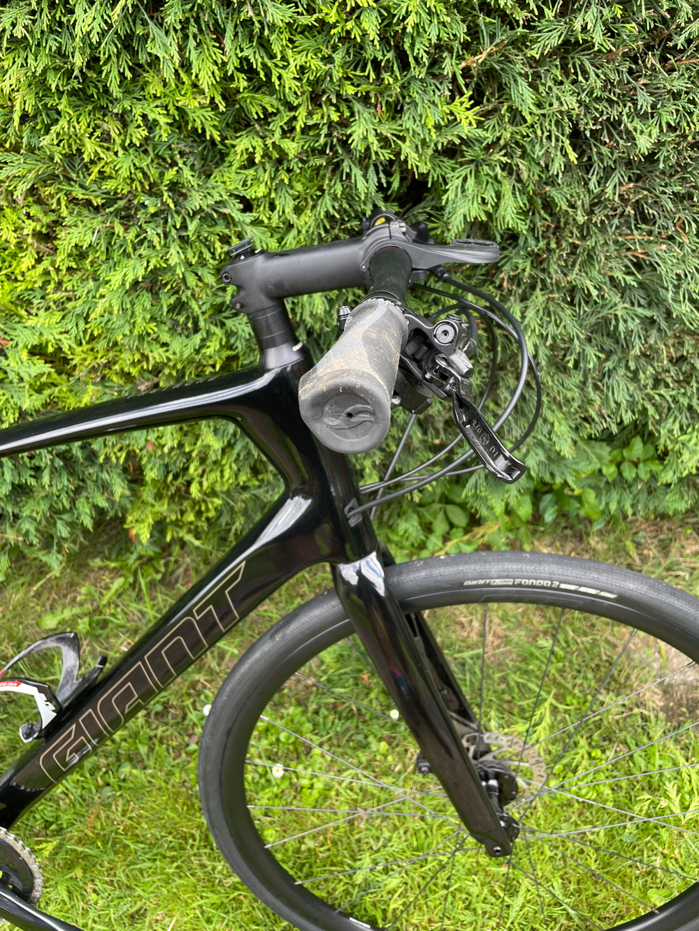 Giant FastRoad Advanced 1 2021