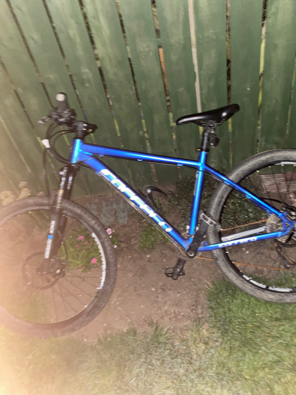 Carrera not sure  2022